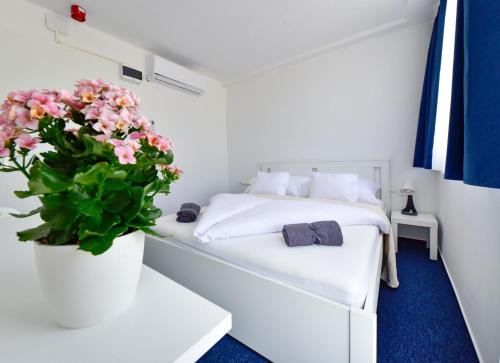 Zamardi Hotel | Zama Hotel