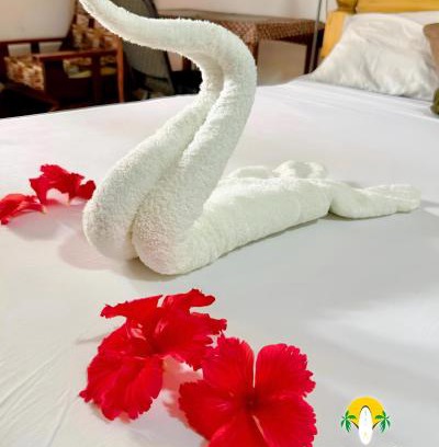 Uroa Apartment | Zanzllywood Uroa Beach Suites Hotel Apartment
