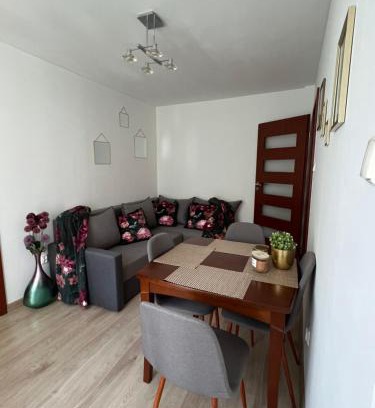 Zgierz Apartment | Zgierz Parzęczewska District