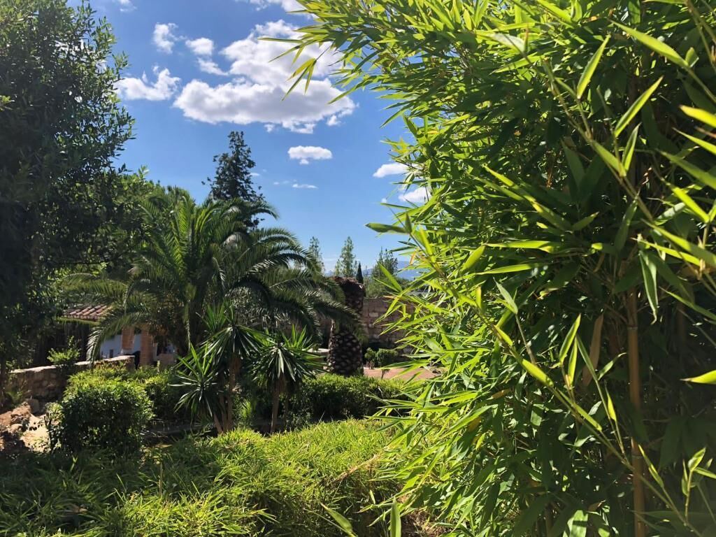 Photo of Outdoor in Alhaurin el Grande