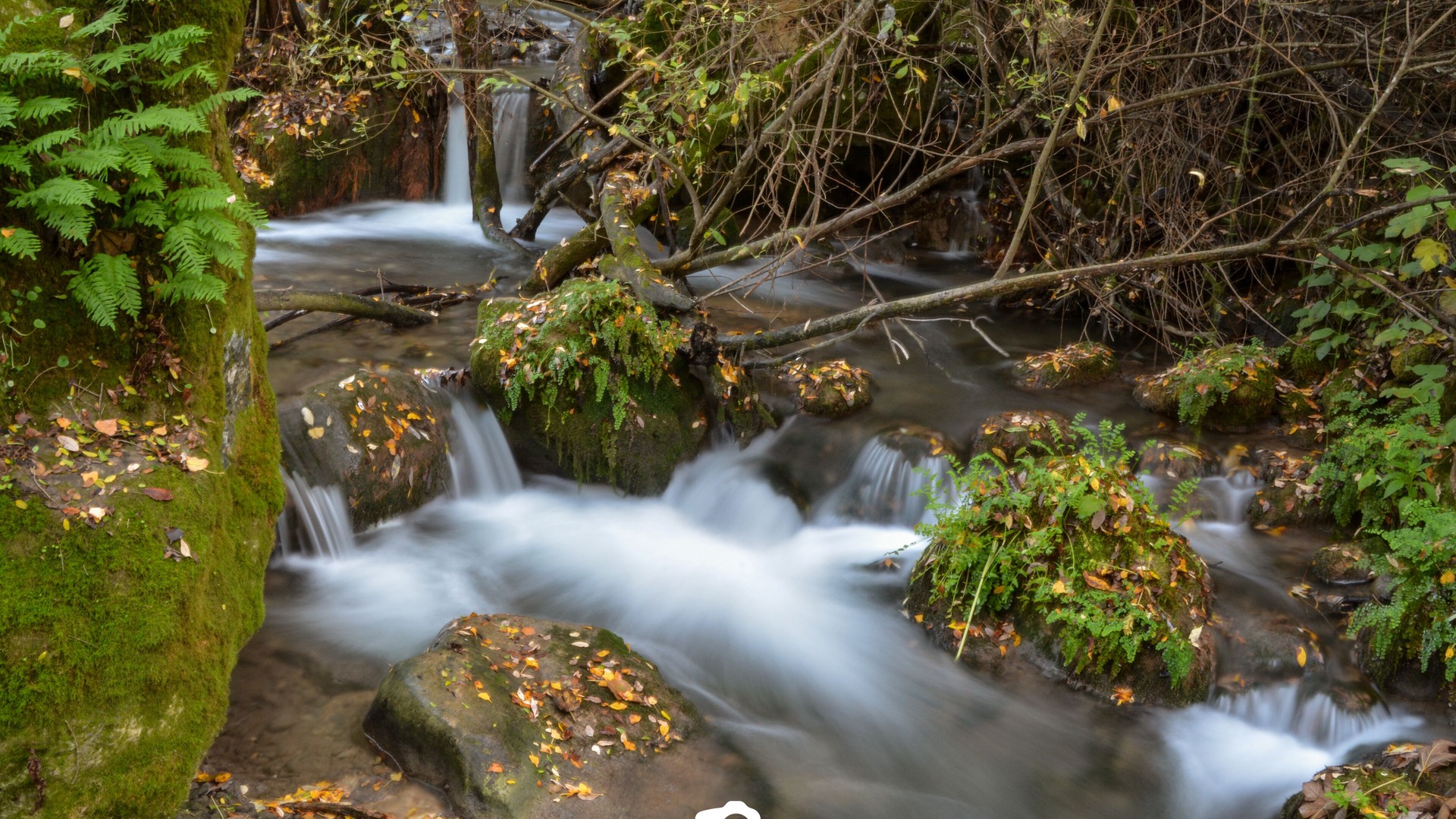 Photo of Outdoor in Alhaurin el Grande
