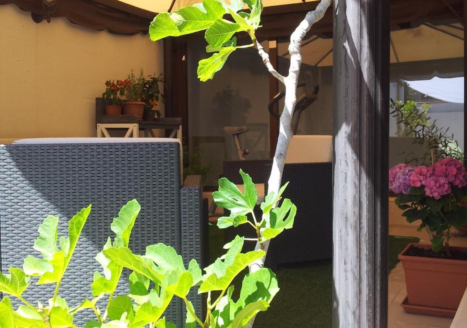 Photo of Patio Balcony in Trani