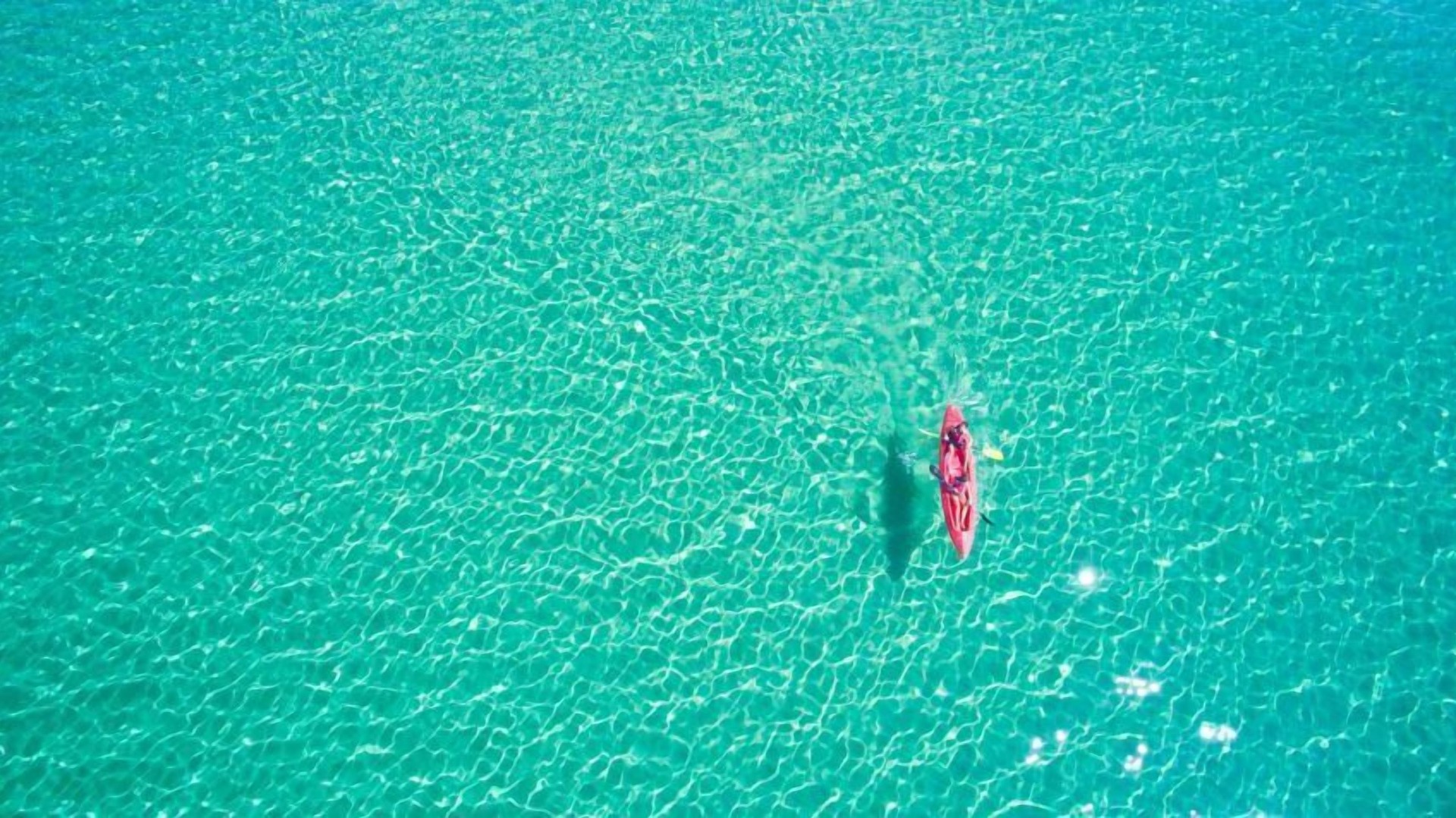 Photo of Others in Marinella di Selinunte