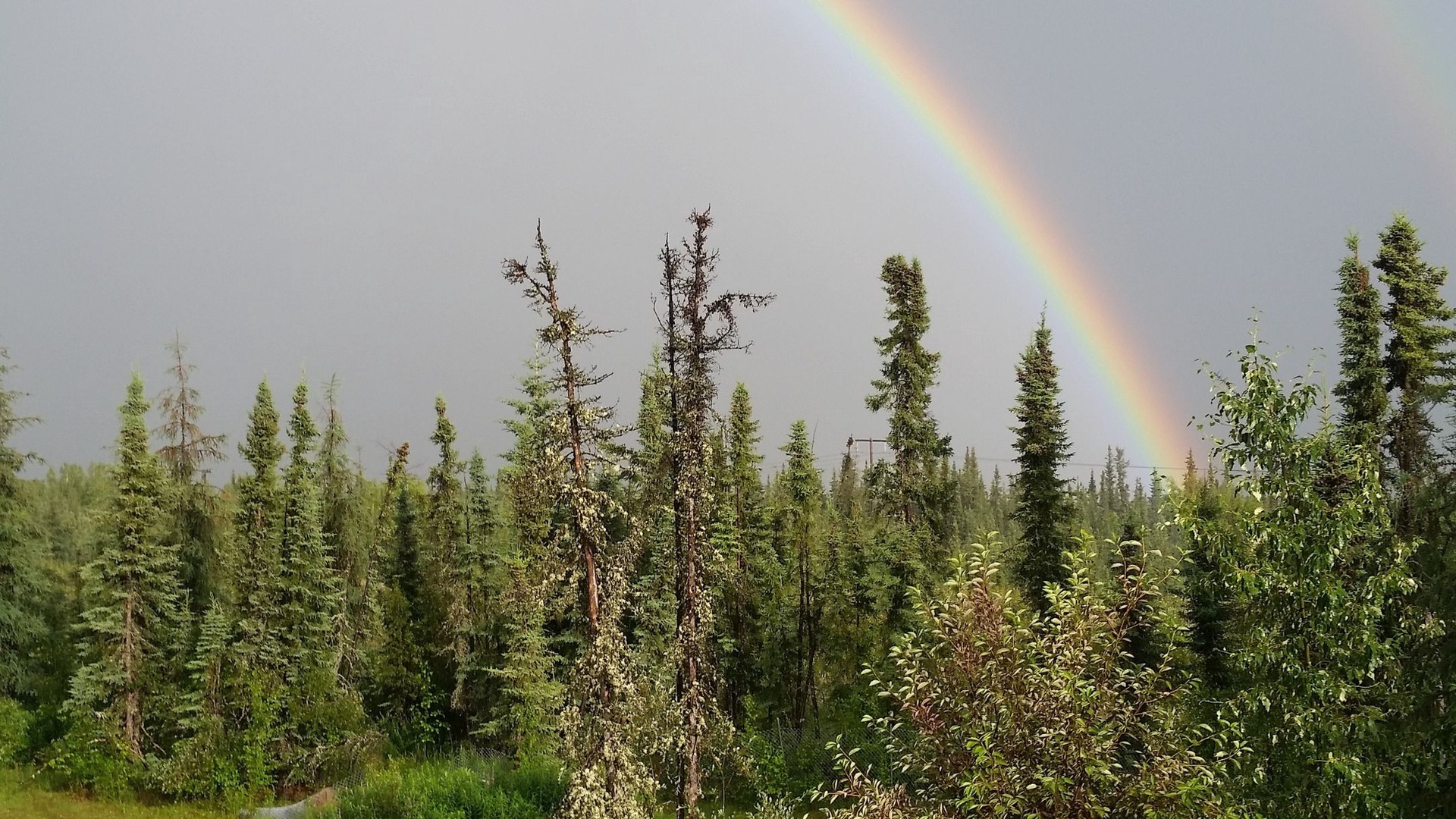 Photo of Outdoor in Fairbanks