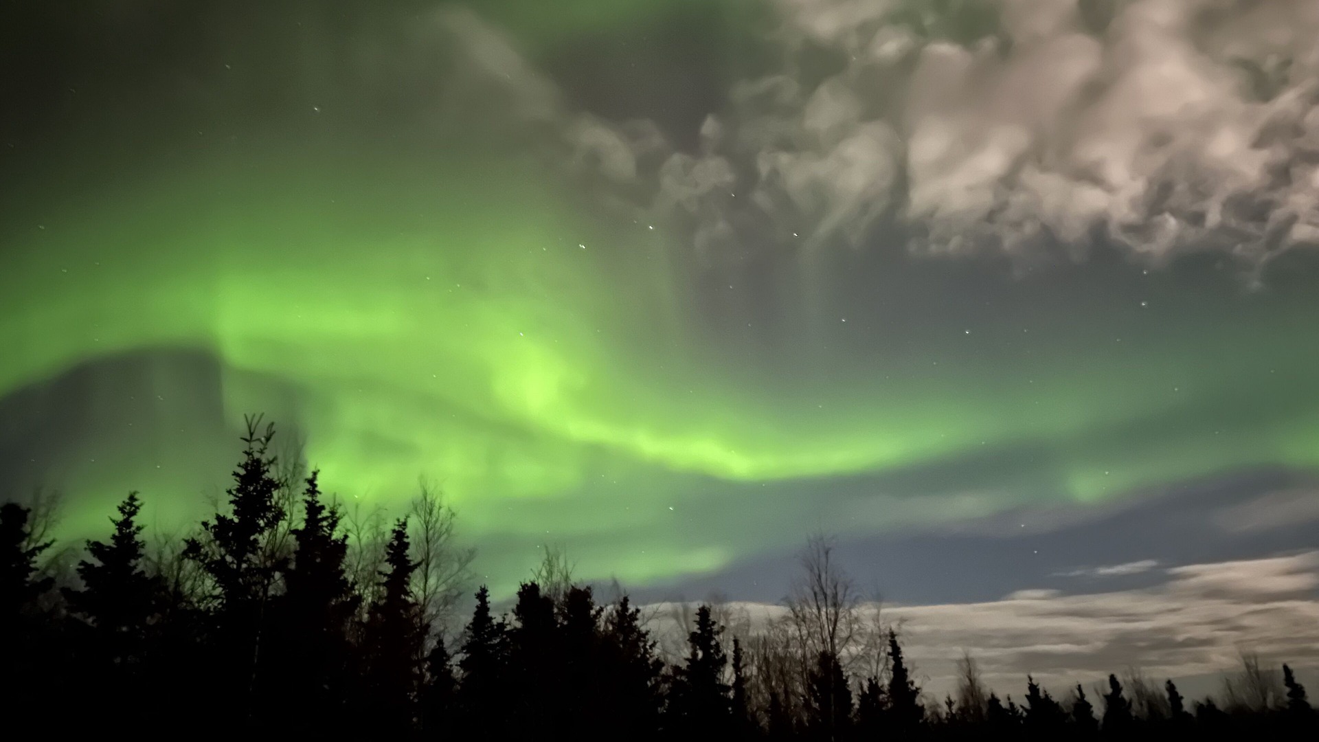 Photo of Others in Fairbanks