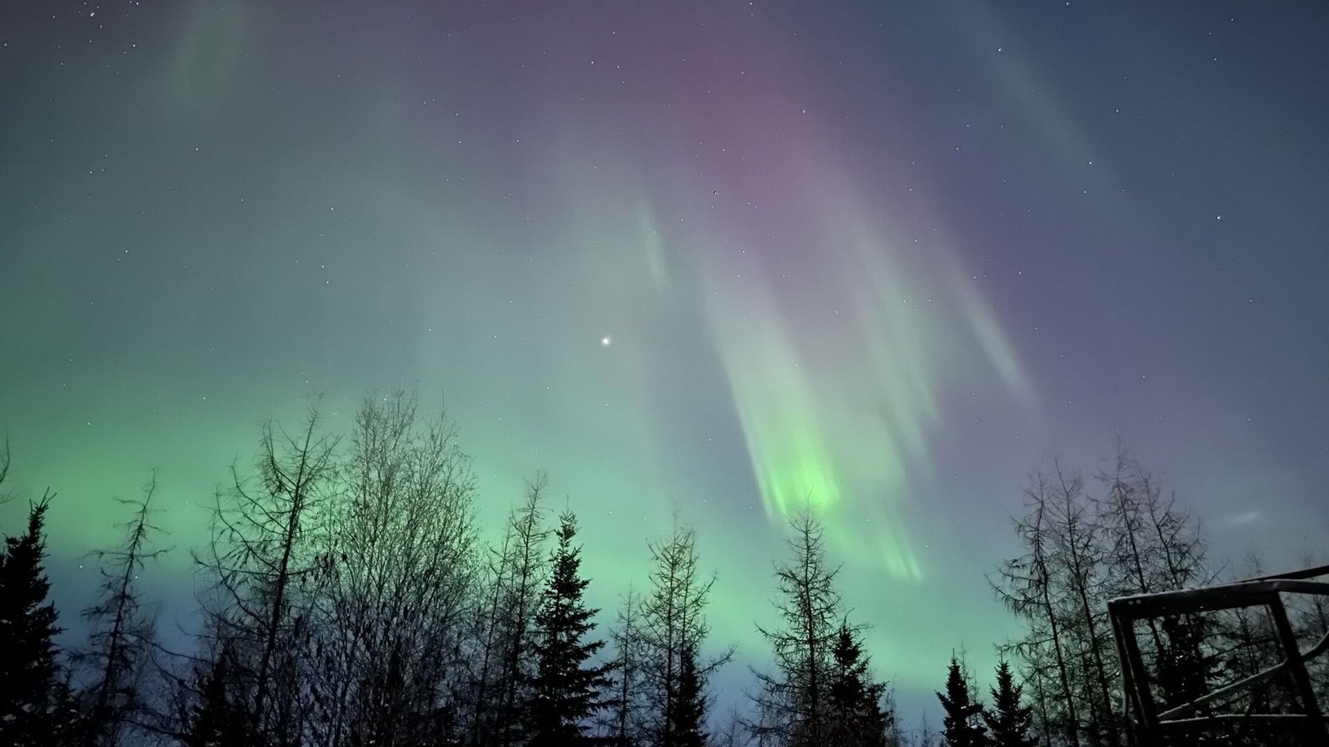 Photo of Others in Fairbanks