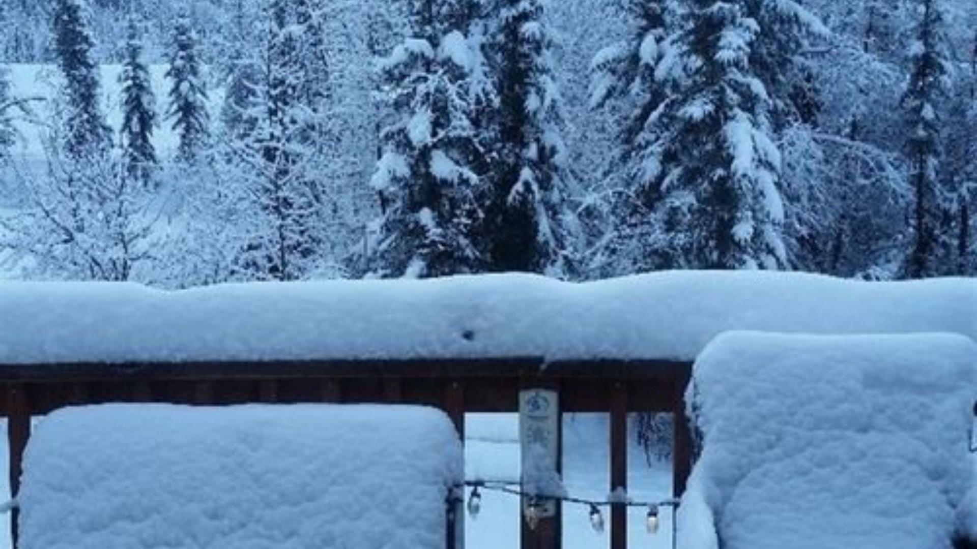 Photo of Others in Fairbanks