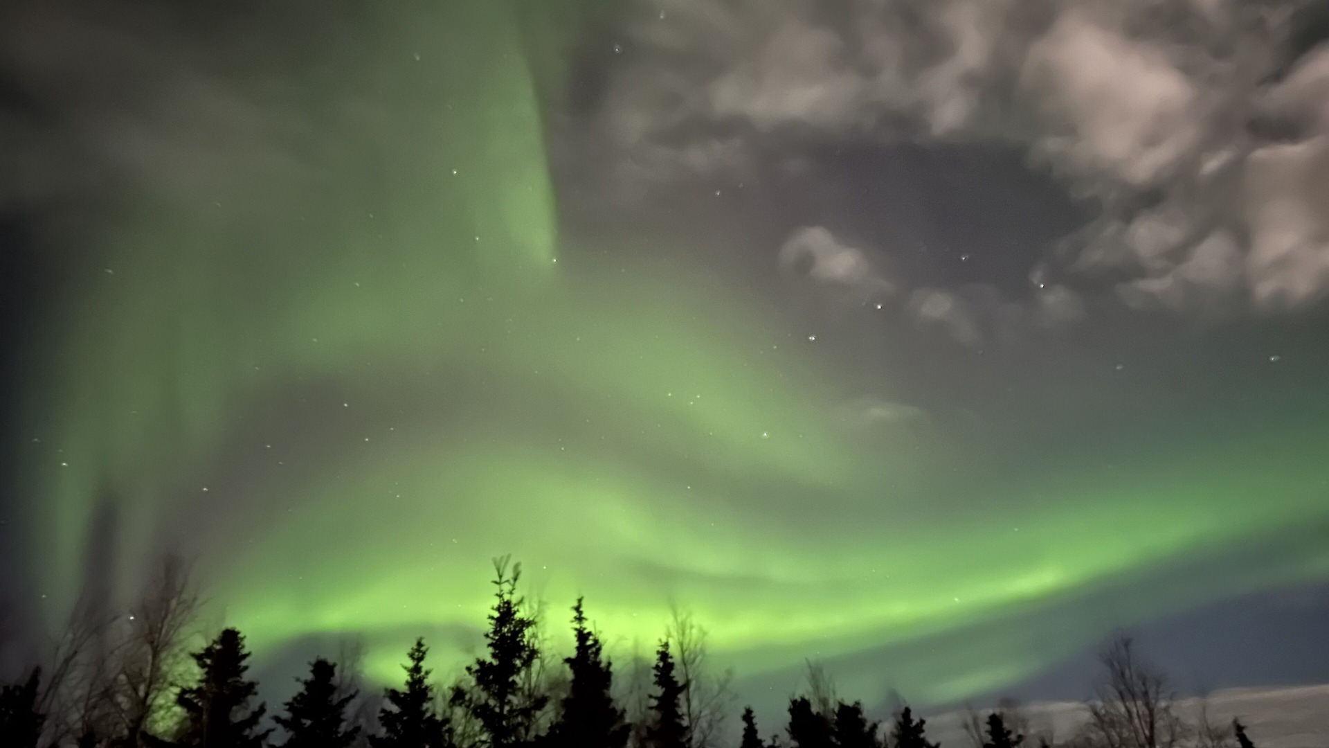 Photo of Others in Fairbanks