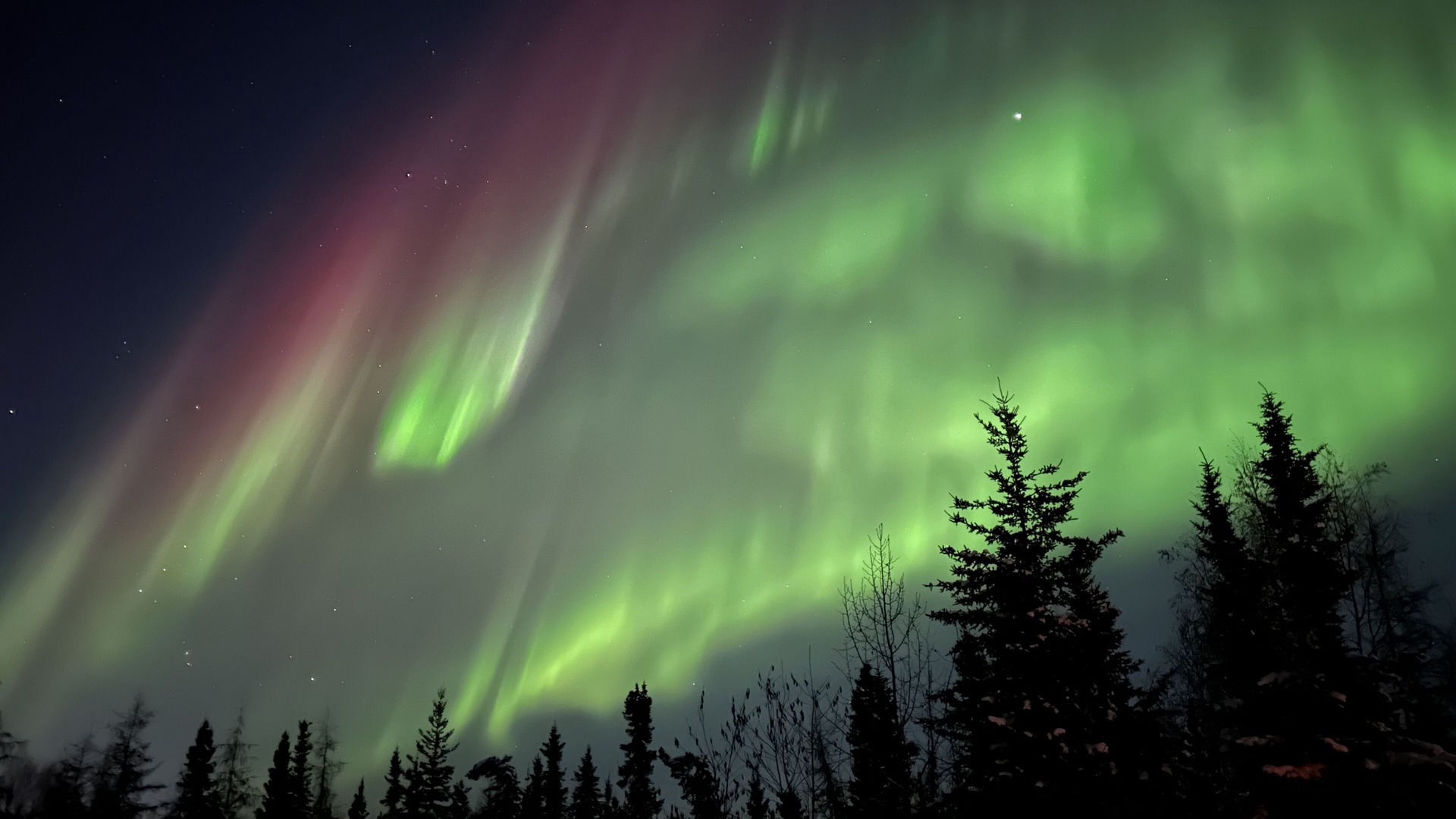 Photo of Others in Fairbanks