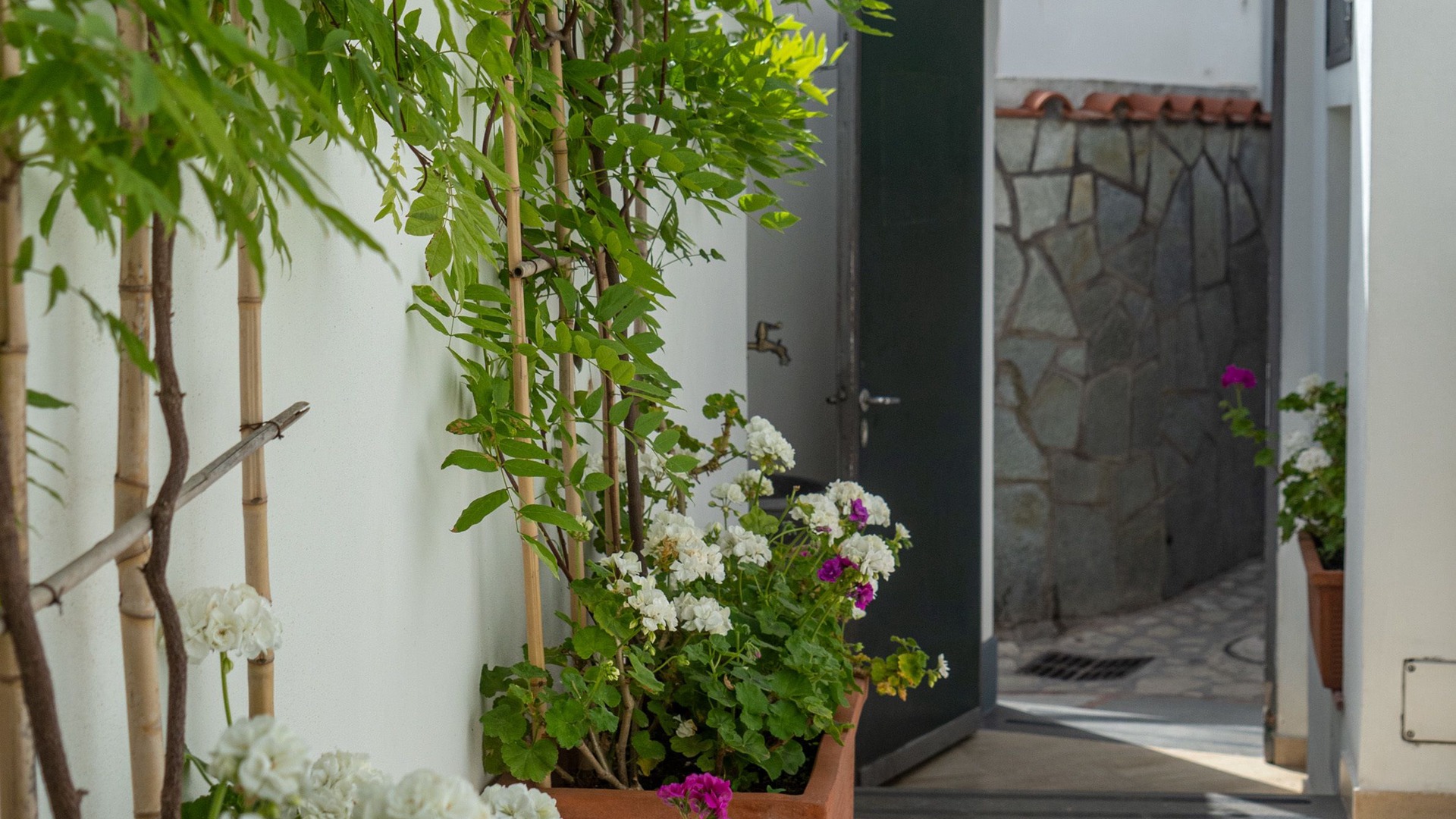 Photo of Outdoor in Anacapri
