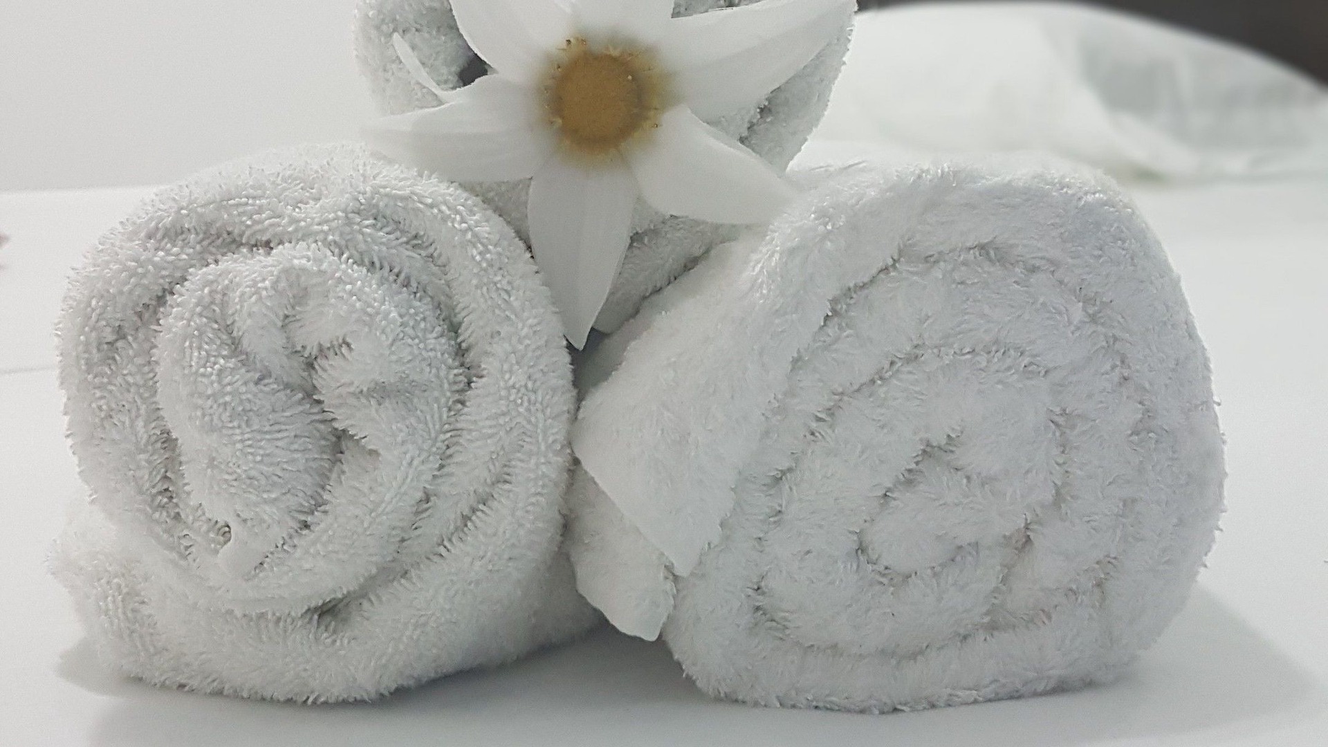 Photo of Others in Municipality of Playa