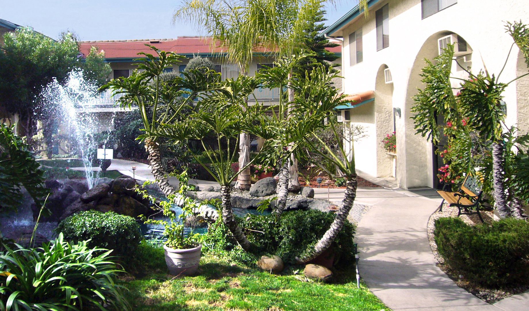 Photo of Outdoor in Clairemont