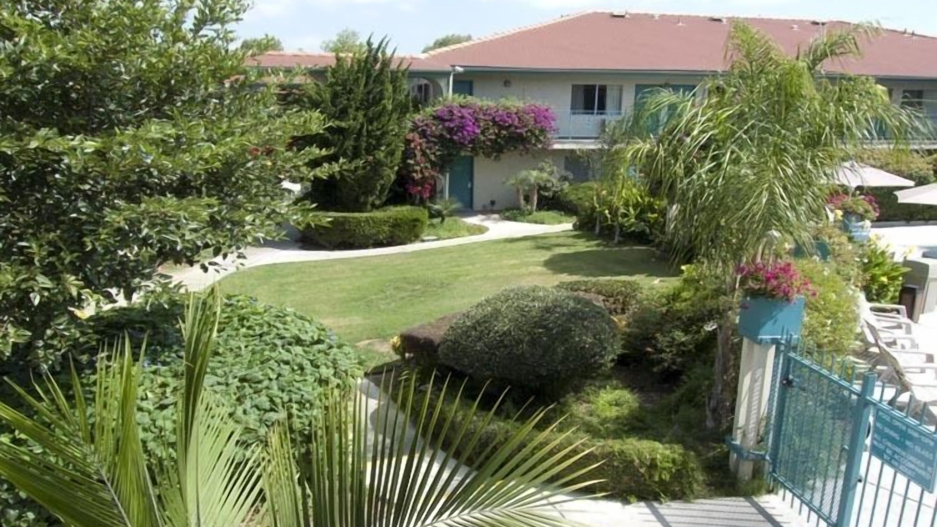 Photo of Outdoor in Clairemont