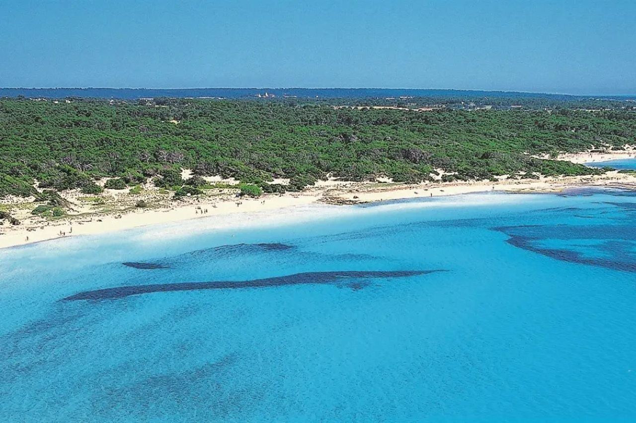 Photo of Others in Colonia Sant Jordi