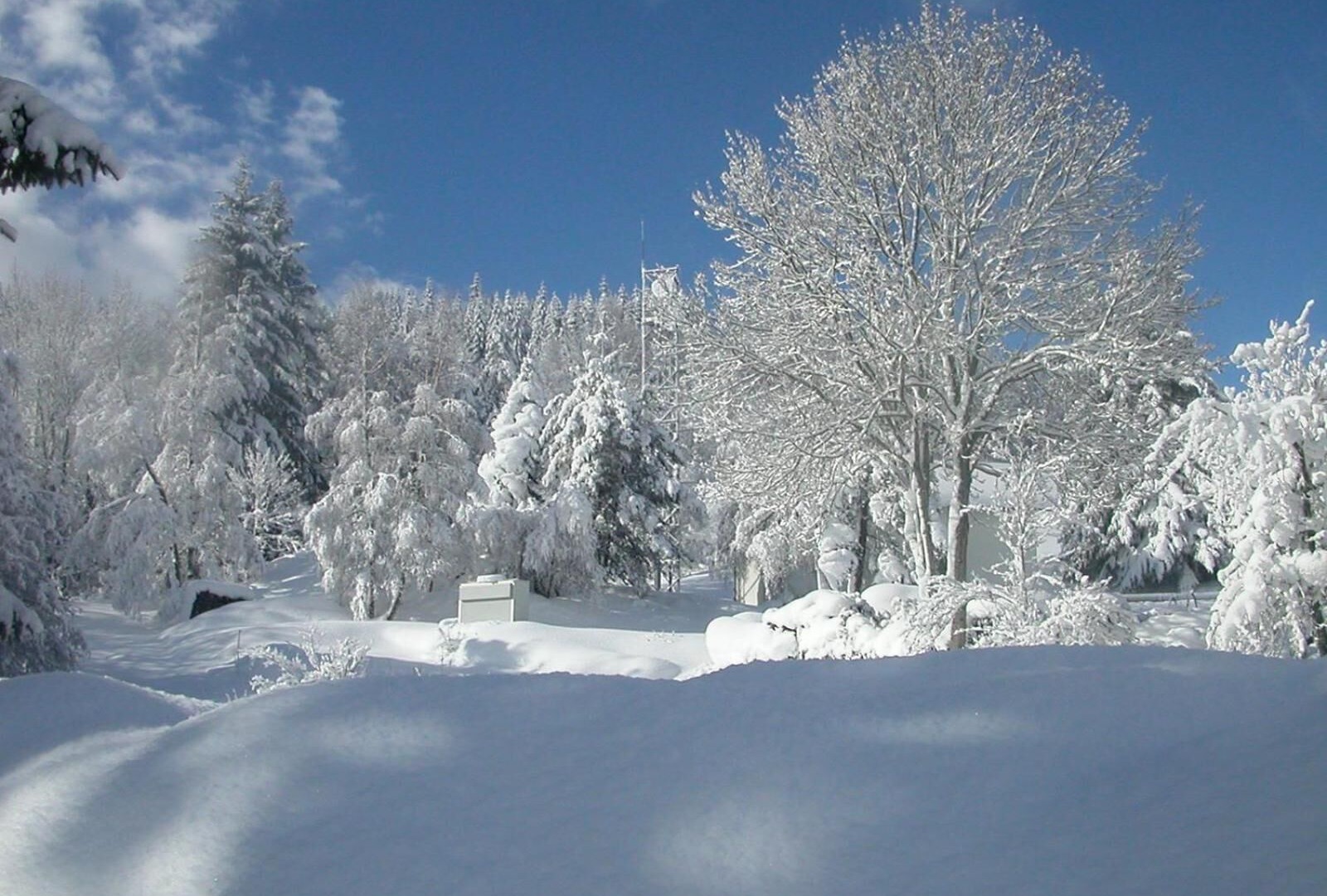 Photo of Others in Saint-Cirgues-en-Montagne