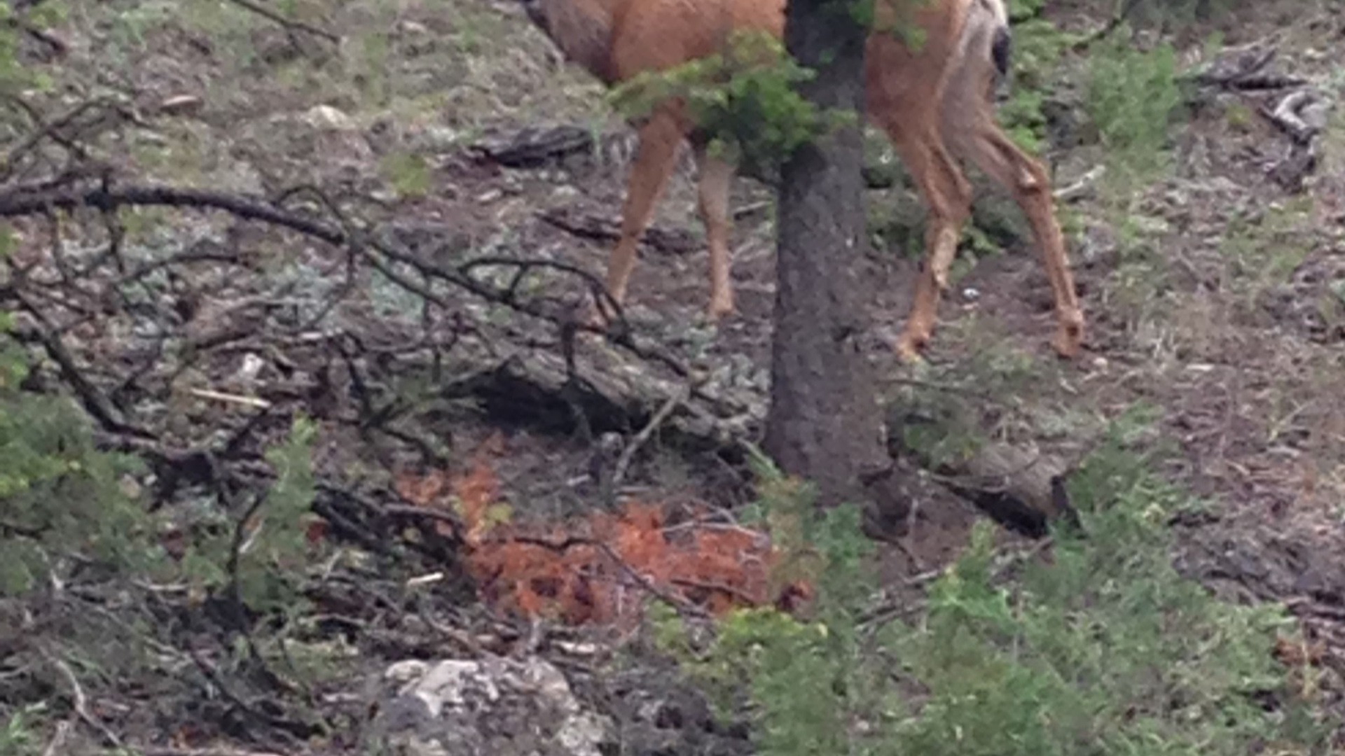 Photo of Outdoor in Cherryville