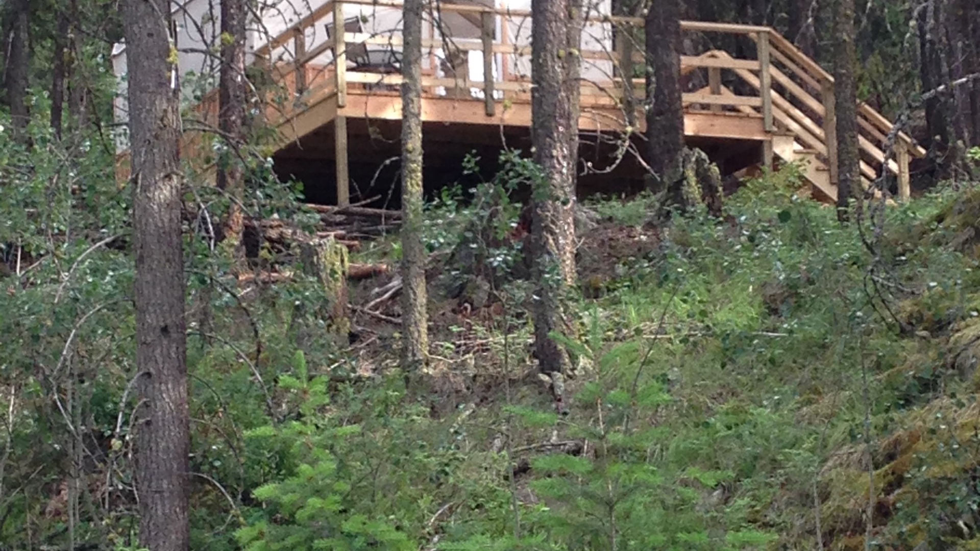 Photo of Others in Cherryville