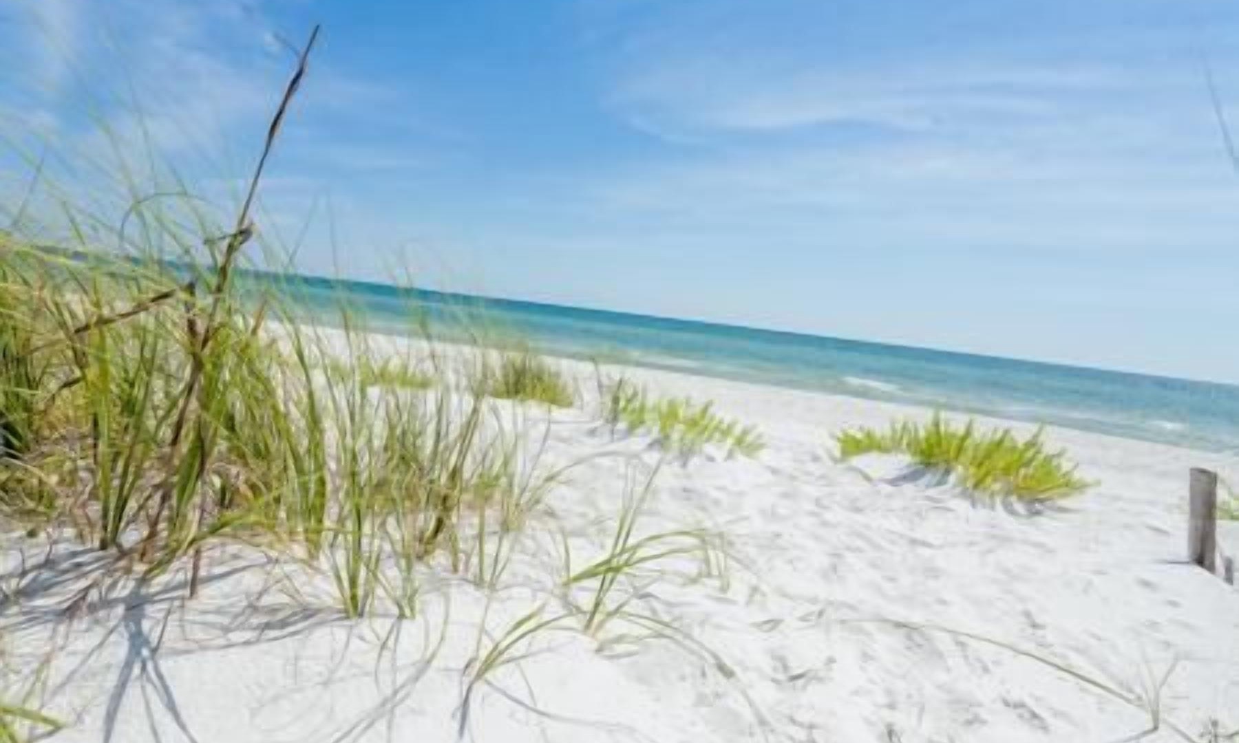 Photo of Others in Mexico Beach