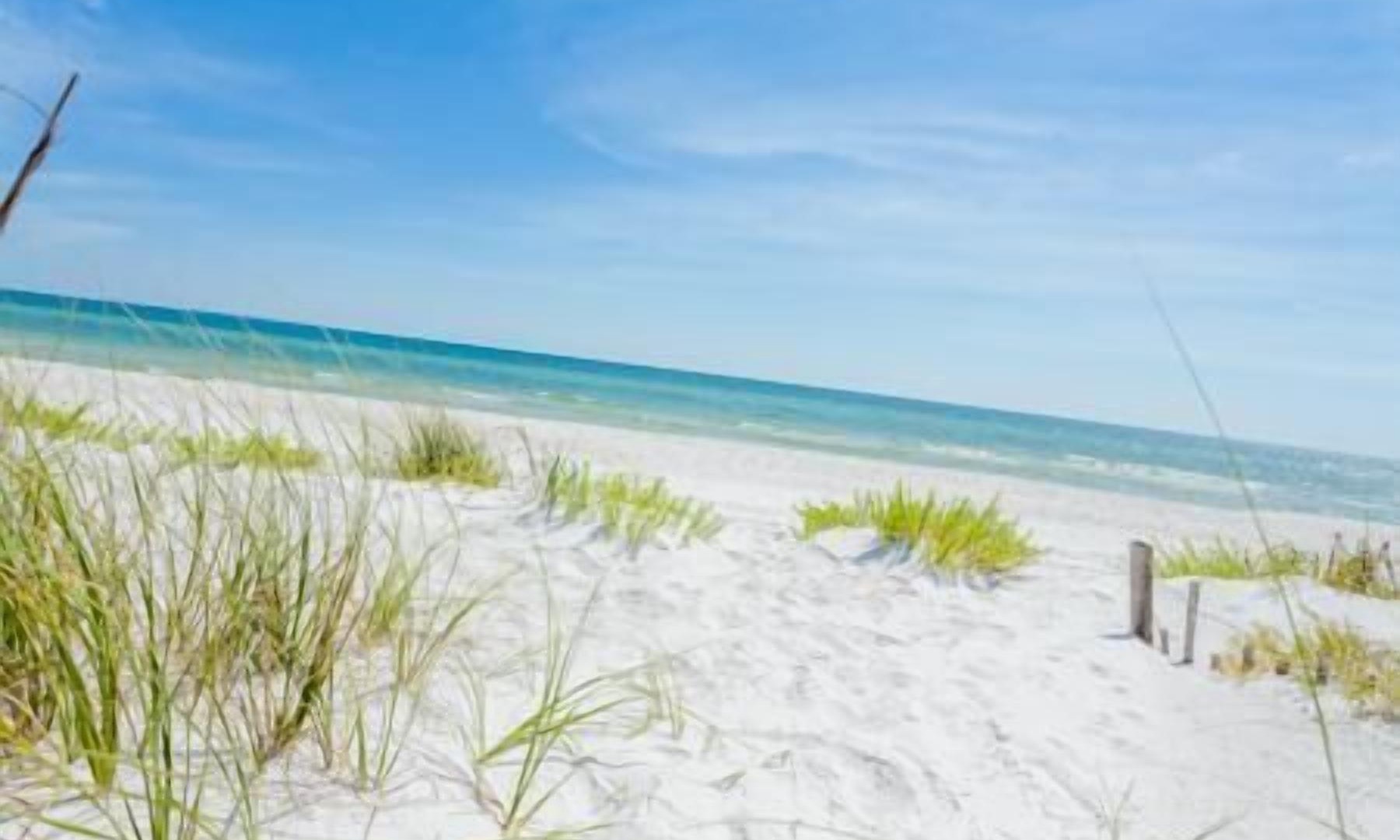Photo of Others in Mexico Beach