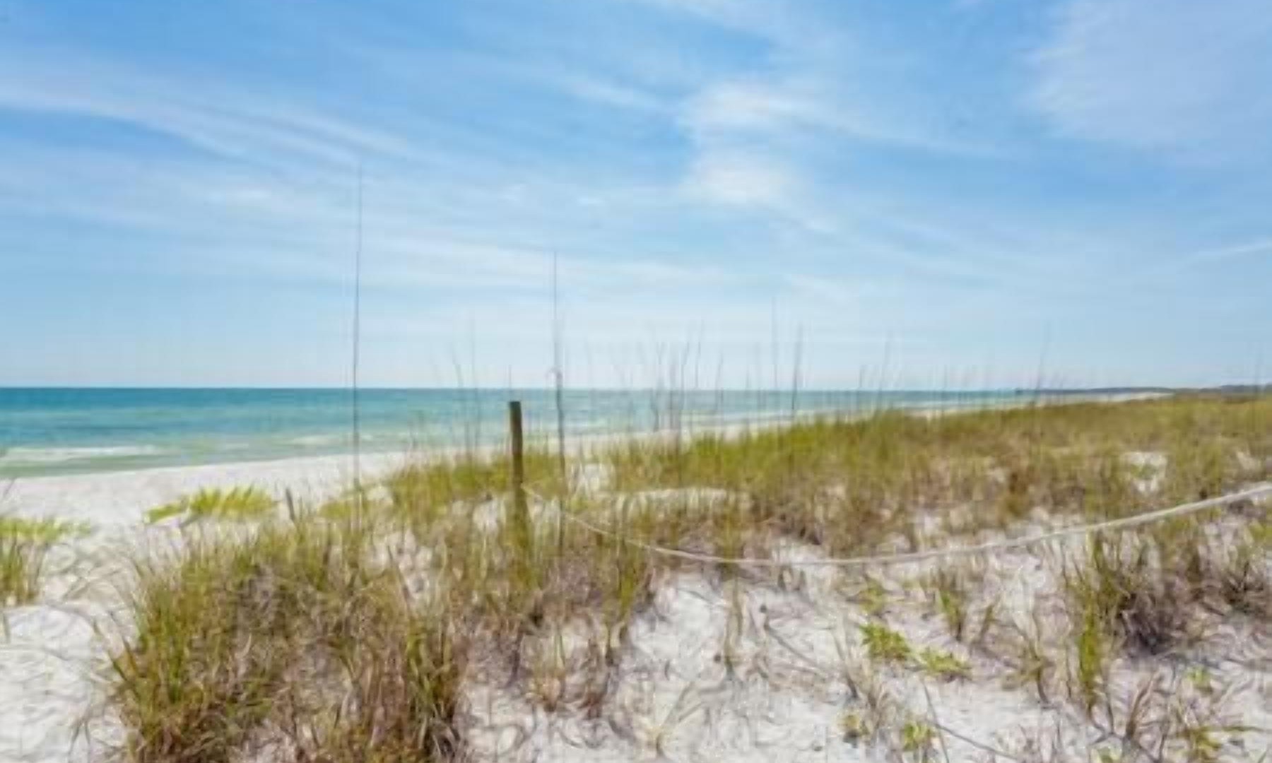Photo of Others in Mexico Beach