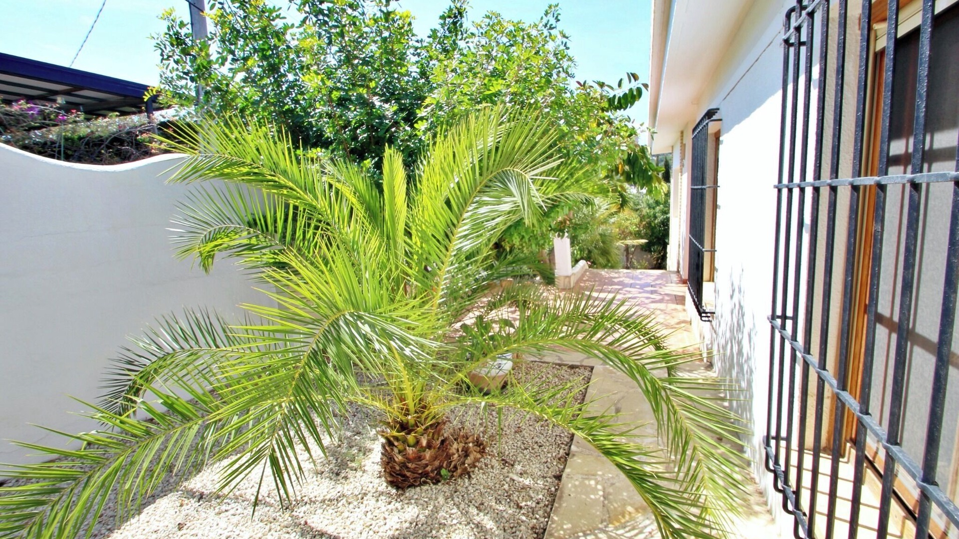 Photo of Outdoor in El Portet