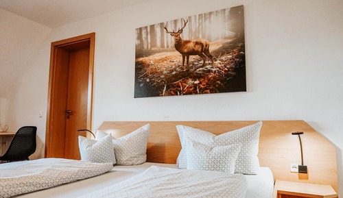 Basic Double Room