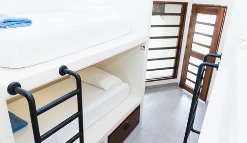 Basic Shared Dormitory