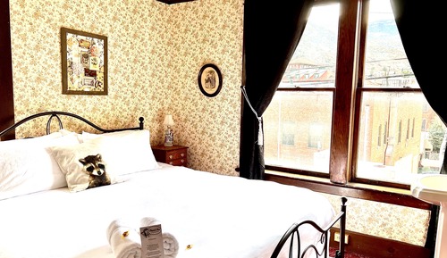 Signature Single Room, 1 King Bed