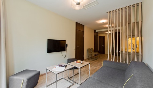 Deluxe Apartment (morning SPA access included)