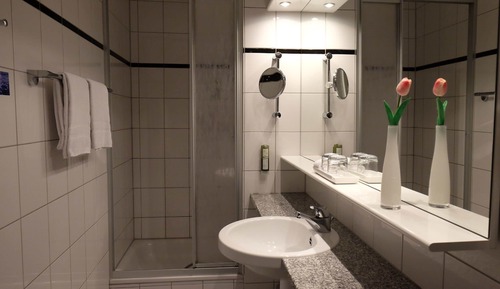 Business Plus Single Room