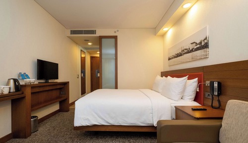 Room, 1 Queen Bed, Smoking, Refrigerator