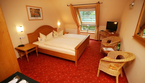 Standard Double Room
