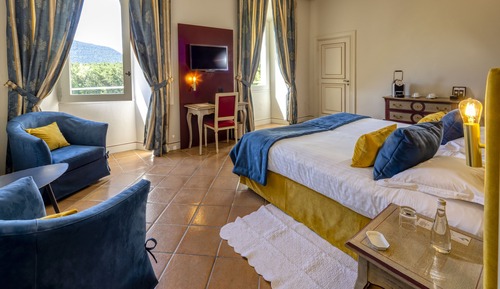 Superior Double or Twin Room