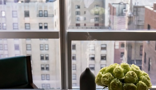 Suite, 1 Bedroom (Carnegie)