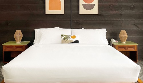 Room, 1 King Bed