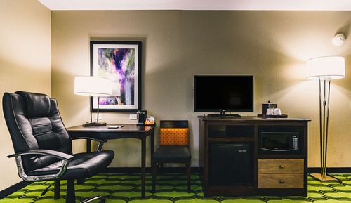 Room, 1 King Bed, Accessible, Non Smoking (Roll In Shower)