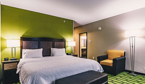 Room, 1 King Bed, Non Smoking, Refrigerator & Microwave