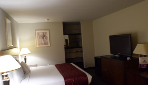 Room, 1 King Bed, Smoking