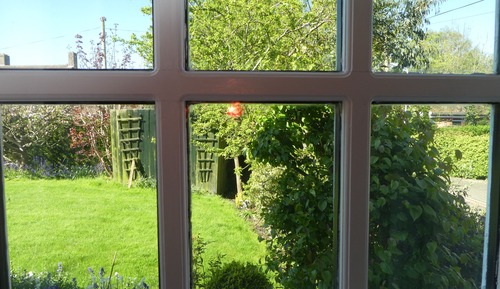 Double Room, Ensuite (Little Owl)