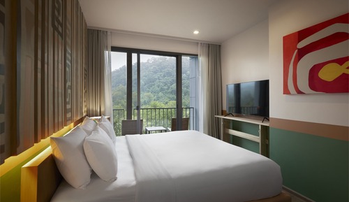 Deluxe Double - Mountain View