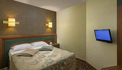 Standard Room, Mountain View