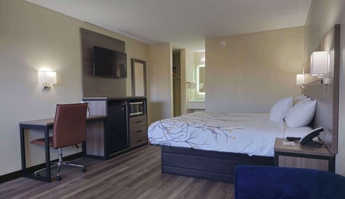 Room, 1 King Bed, Smoking