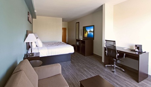 Standard Room, 1 King Bed, Non Smoking