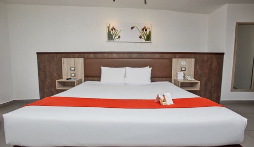 Junior Room, 1 King Bed