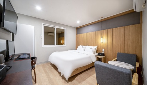 Room (Premium-Clothing Purifier (Styler + N)