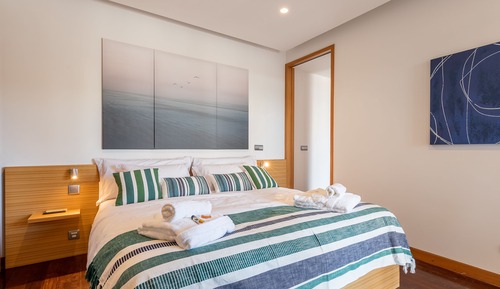 Luxury Apartment