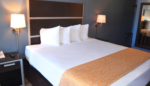 Superior Single Room