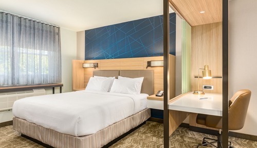 Executive Suite, 1 King Bed