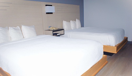 Room, 2 Queen Beds, Pets Allowed
