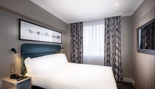 Business Single Room